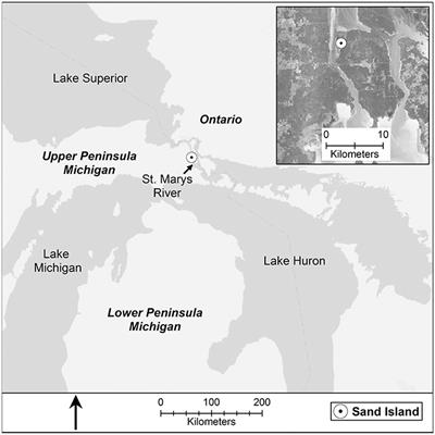 Mechanical Harvesting Effectively Controls Young Typha spp. Invasion and Unmanned Aerial Vehicle Data Enhances Post-treatment Monitoring